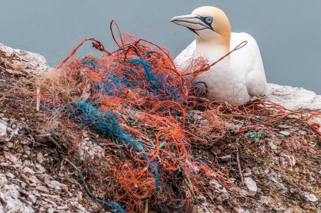 Manfaat Mengurangi Sampah Plastik, Lengkap dengan Caranya Banyak loh manfaat dan cara mengurangi sampah plastik, ini dia!