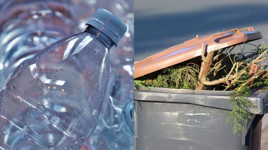 Contoh dari sampah organik dan anorganik, yaitu ranting pohon dan botol plastik