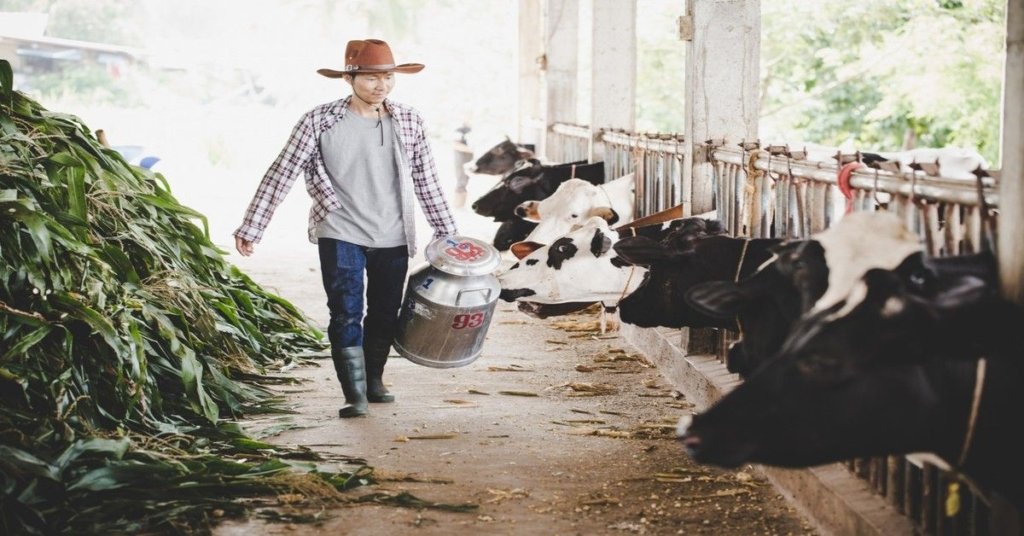 5 Manfaat Pencacah Pakan Ternak untuk Peternak Modern