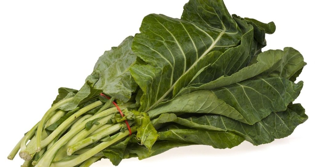 Cara Menanam Sayur secara Organik agar Subur dan Cepat Panen Langkah-Langkah Sebelum Menanam Sayuran